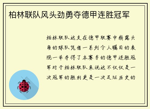 柏林联队风头劲勇夺德甲连胜冠军