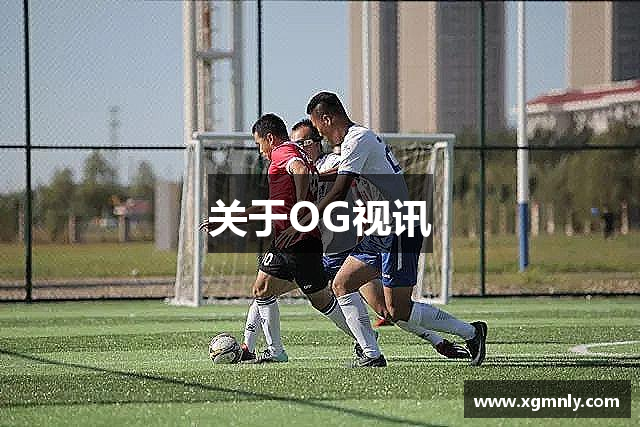 关于OG视讯